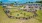 Dog Park 